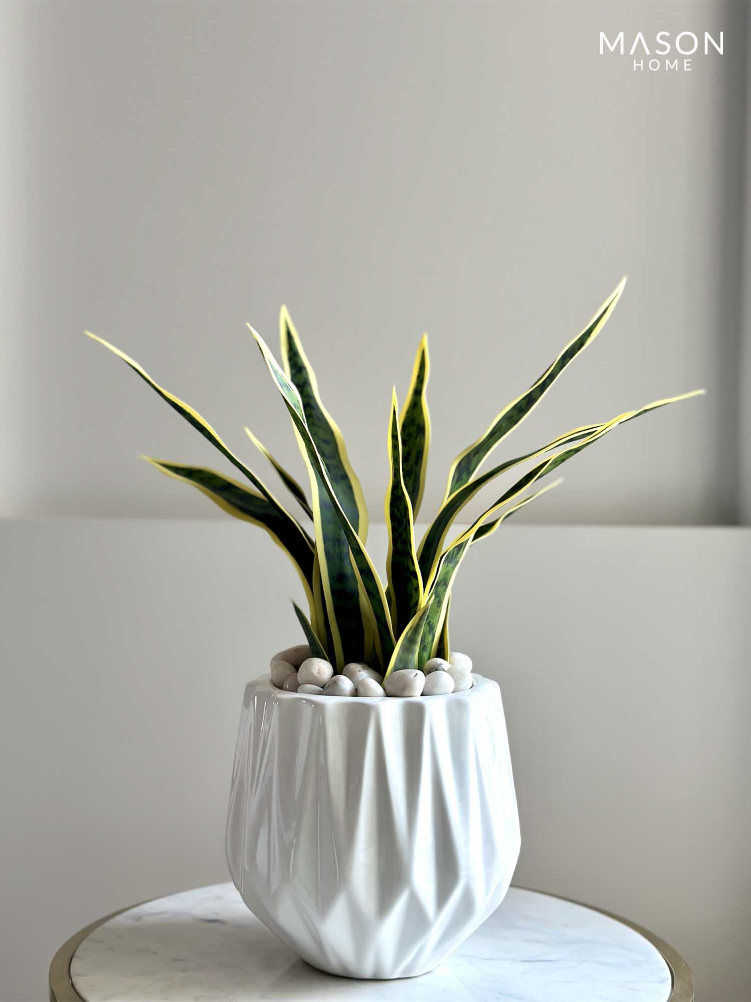 Artificial Snake Plant - 1.5 Feet (With Base Pot)