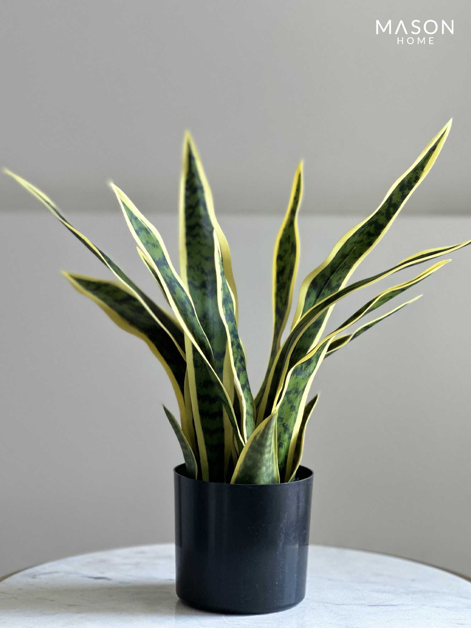 Artificial Snake Plant - 1.5 Feet (With Base Pot)