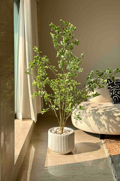 Jade Artificial Plant - 4.5 Feet