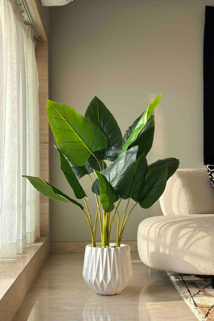 Artificial Taro Plant - 3.5 Feet