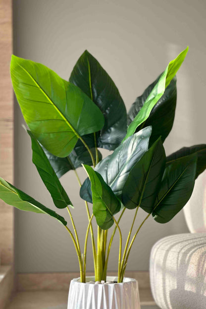 Artificial Taro Plant - 3.5 Feet