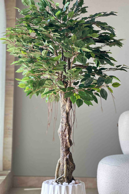 Artificial Dried Ficus - 4.5 Feet