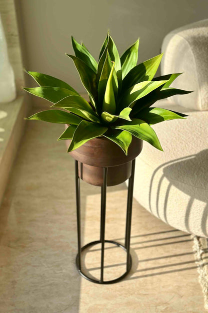 Vienna Wooden Planter With Black Stand - Small