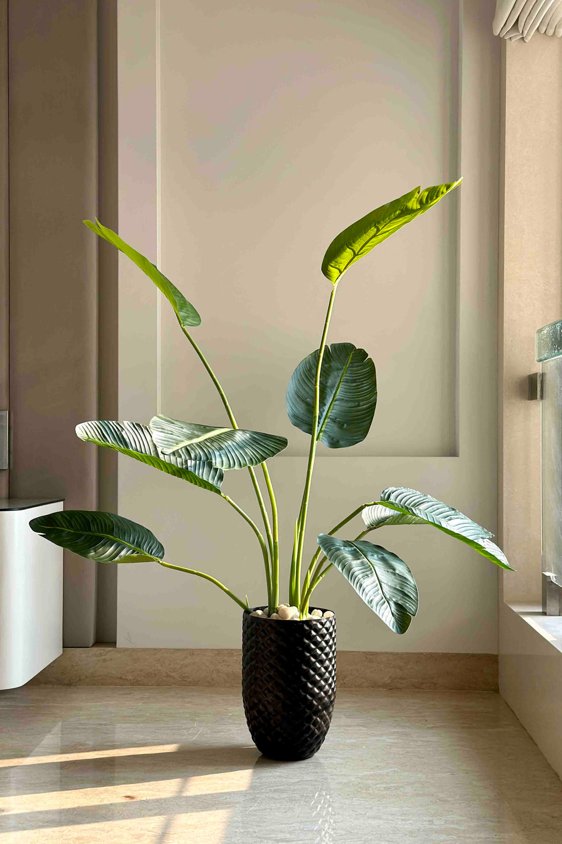 Giza Black Planter - Small