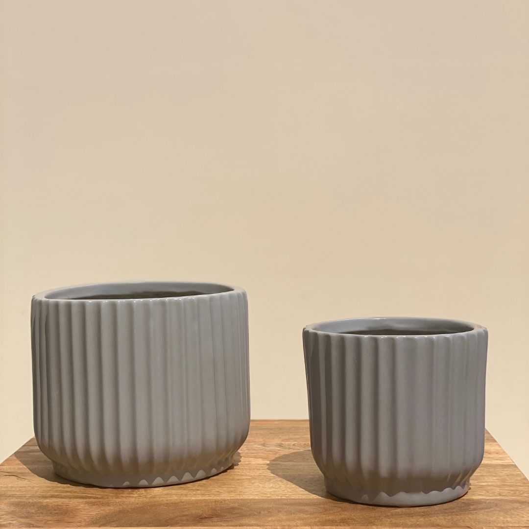 RIBBED CERAMIC POT PLANTER - MEDIUM - Mason Home by Amarsons - Lifestyle &amp; Decor