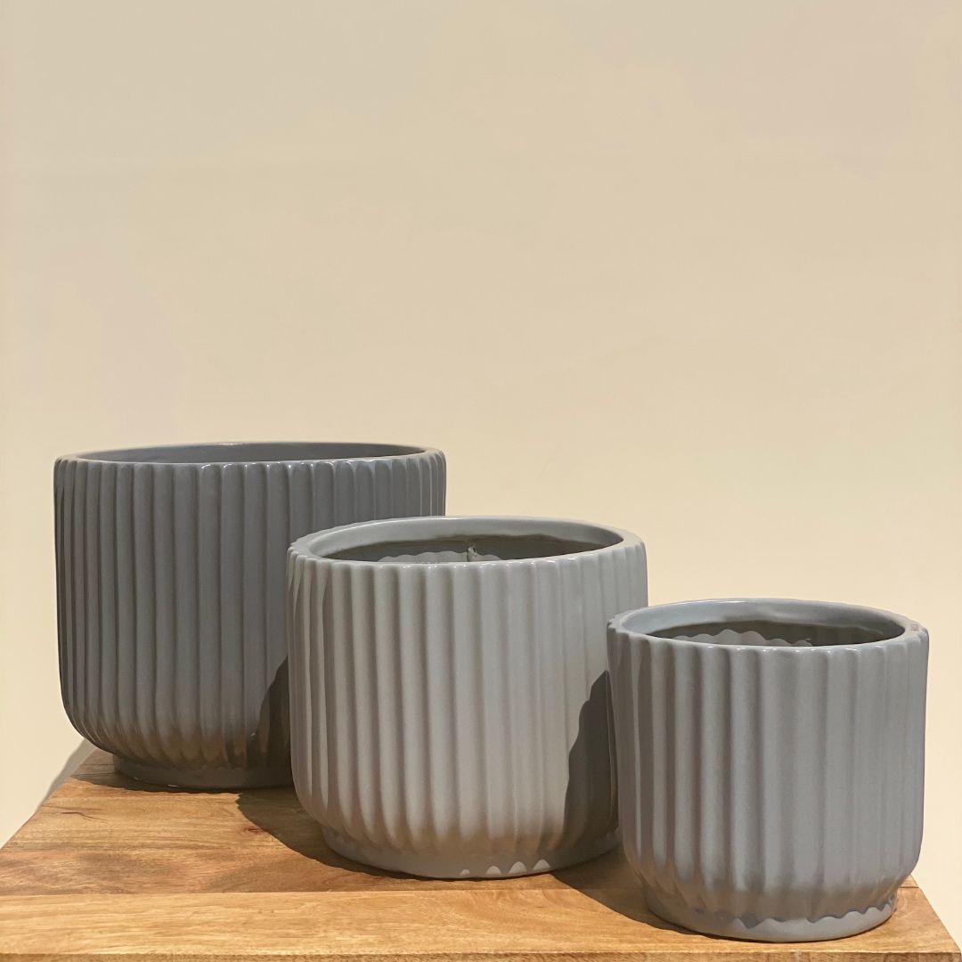 RIBBED CERAMIC POT PLANTER - LARGE - Mason Home by Amarsons - Lifestyle &amp; Decor