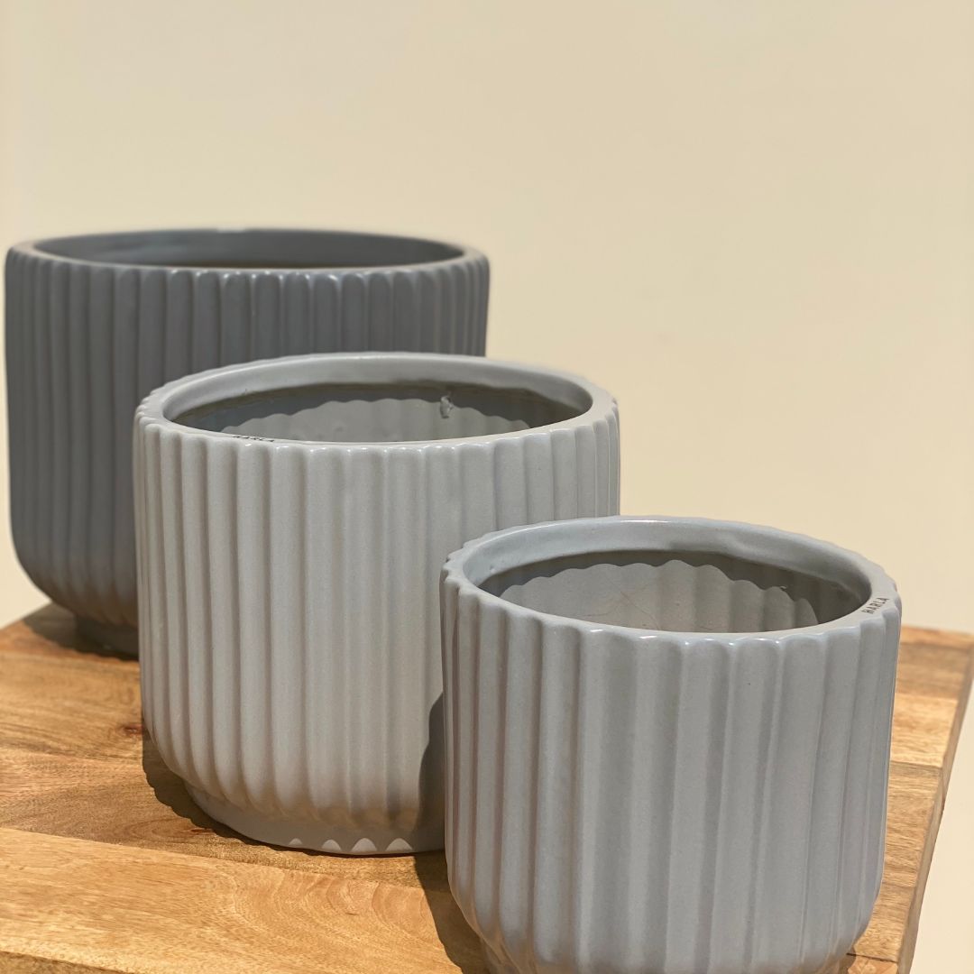 RIBBED CERAMIC POT PLANTER - MEDIUM - Mason Home by Amarsons - Lifestyle &amp; Decor