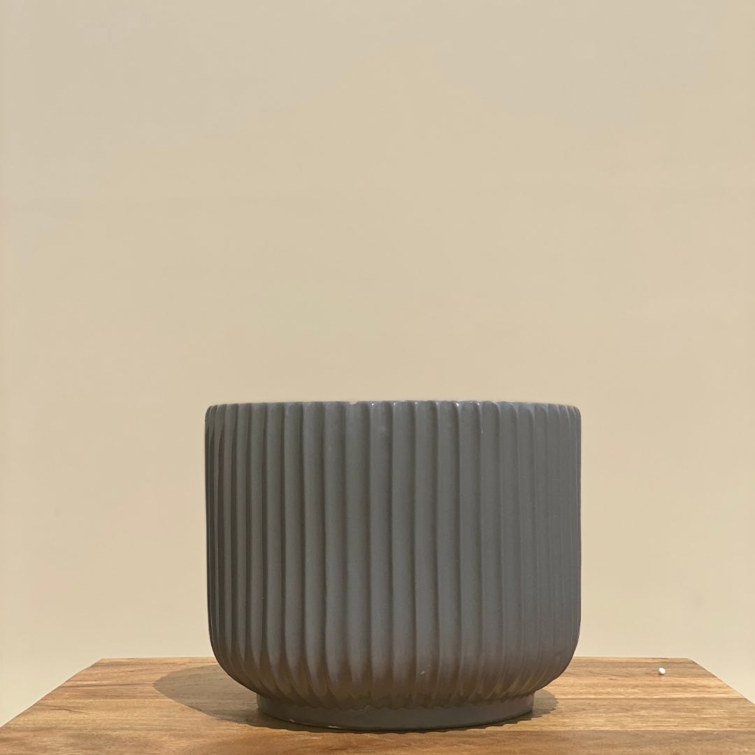 RIBBED CERAMIC POT PLANTER - LARGE - Mason Home by Amarsons - Lifestyle &amp; Decor