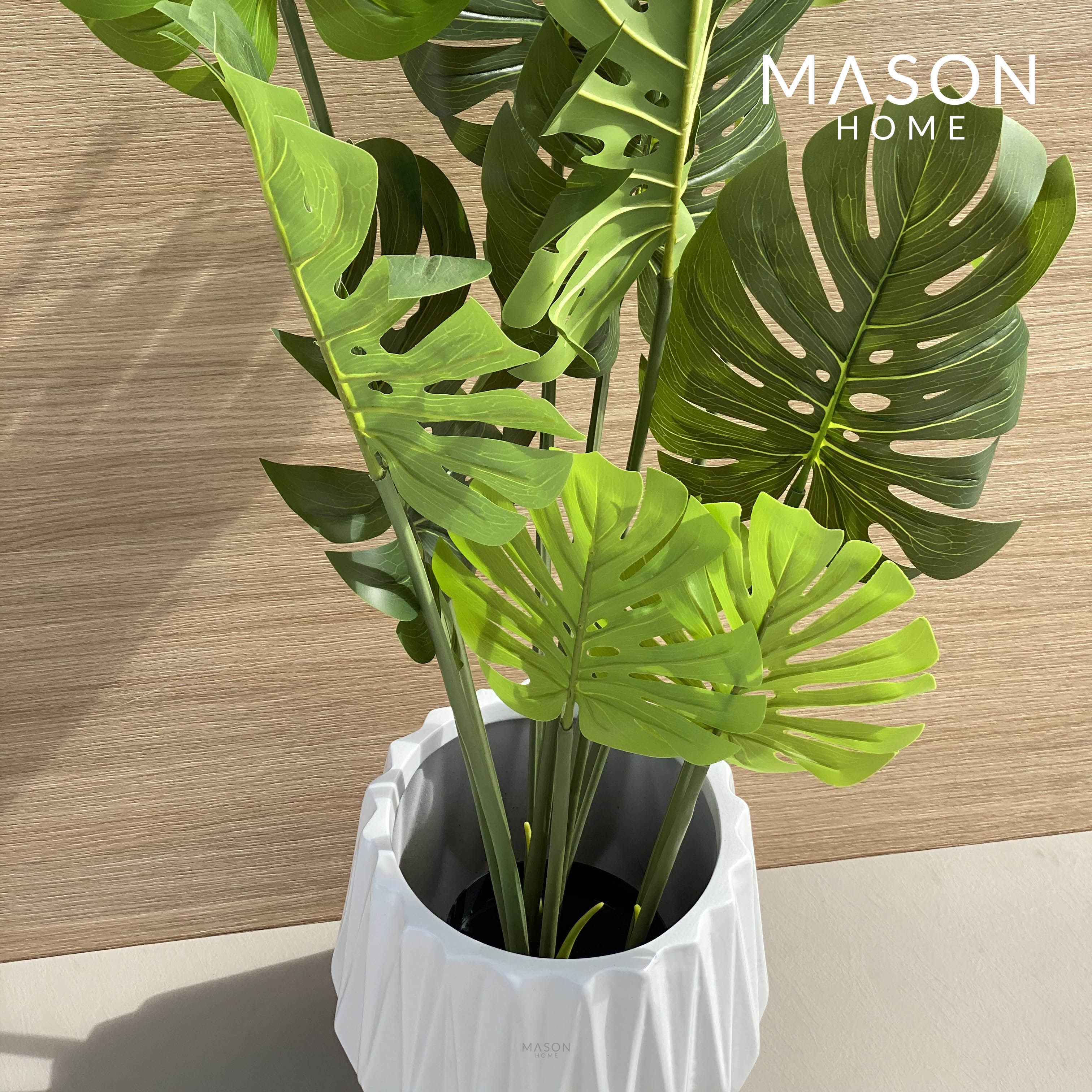 MONSTERA PLANT - 4 FEET - Mason Home by Amarsons - Lifestyle &amp; Decor